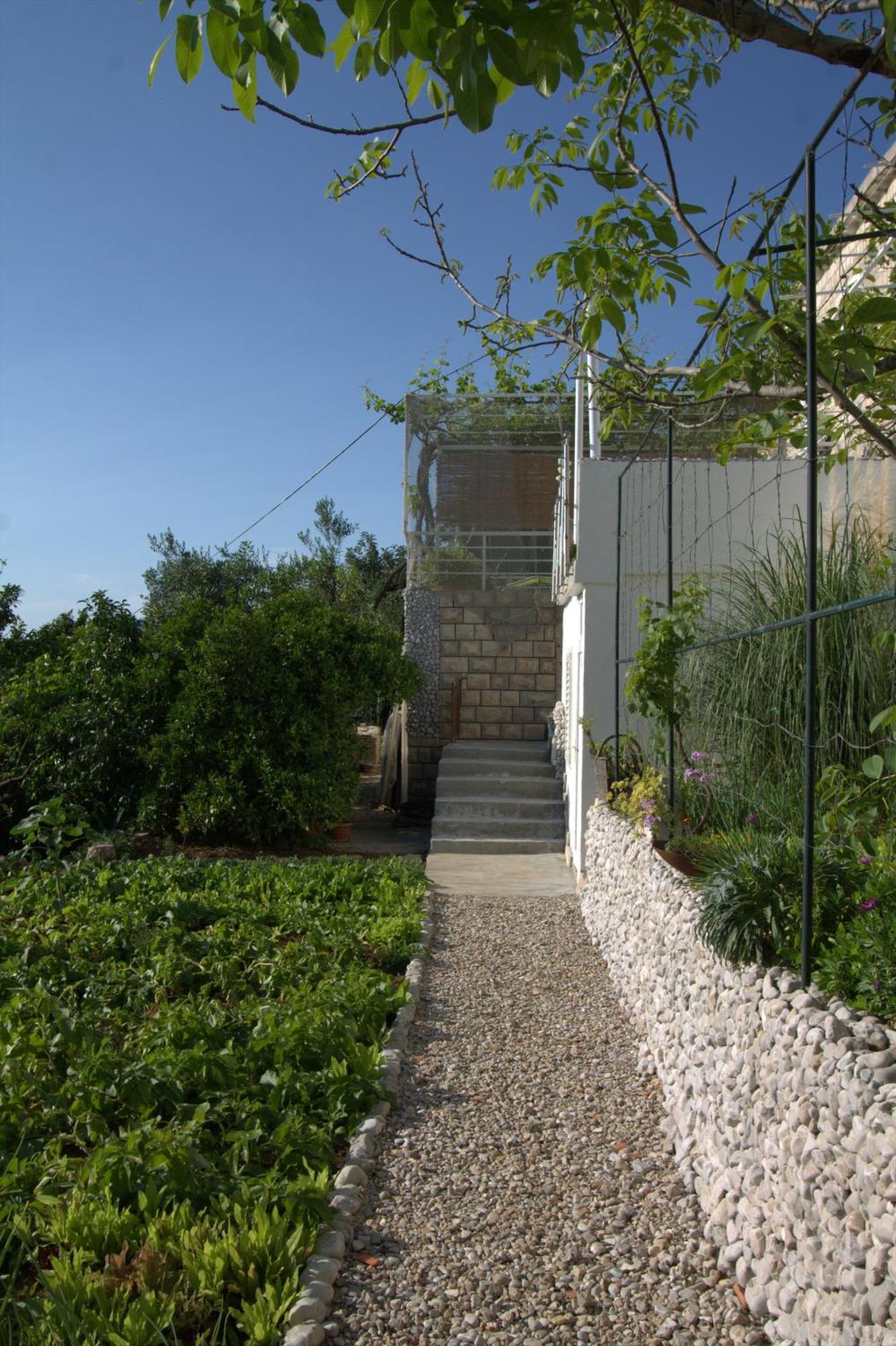 Apartments Cervelin Lopud Exterior foto